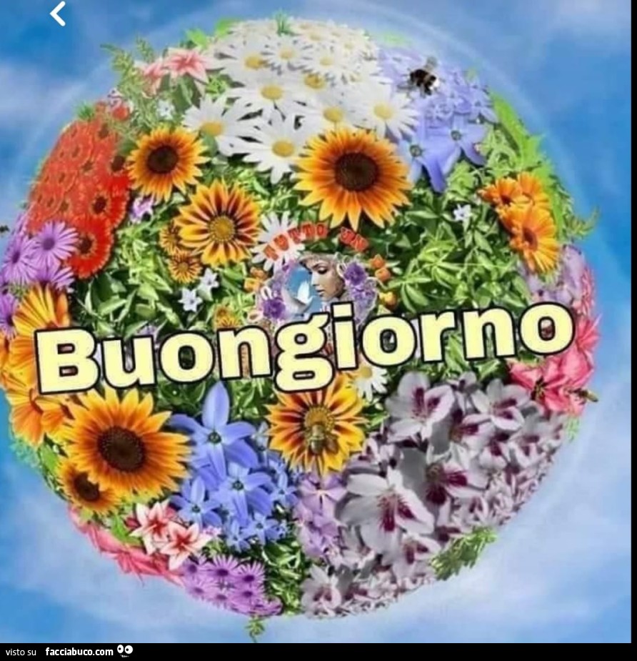 All'ingresso del castello nella stanza dei cassetti - Pagina 24 5qzj13cs2t-buona-giornata-chiacchiera_b