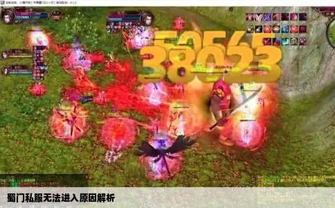 蜀门私服无法进入原因解析