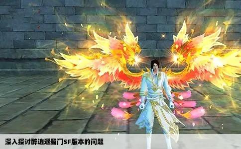 深入探讨醉逍遥蜀门SF版本的问题