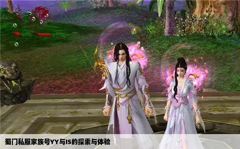 蜀门私服家族号YY与IS的探索与体验