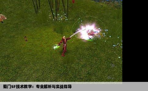 蜀门SF技术教学：专业解析与实战指导