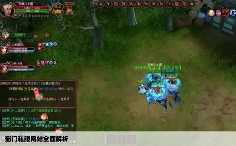 蜀门私服网站全面解析