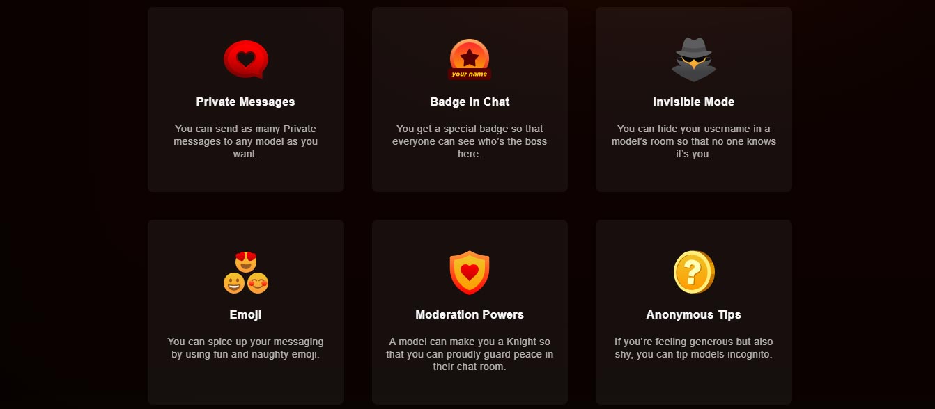 Stripchat 付费账户